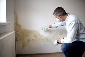  Oblong, IL Mold Remediation Pros